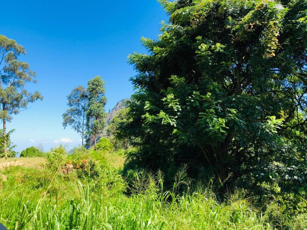 Sudumal Cottage Ella Ngoại thất bức ảnh