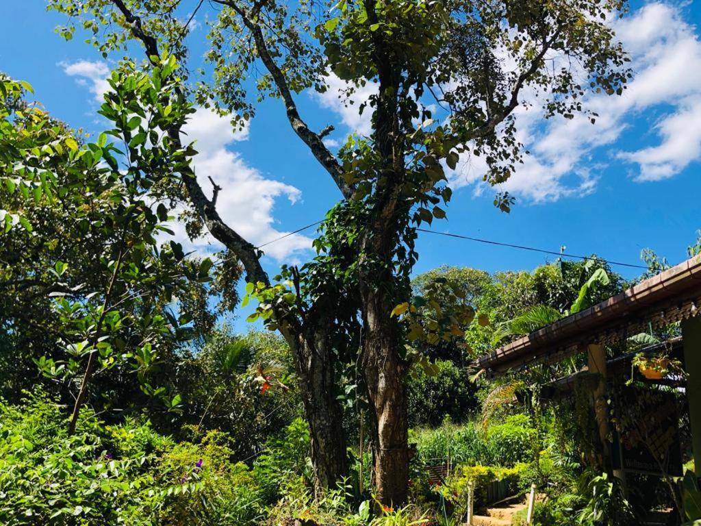 Sudumal Cottage Ella Ngoại thất bức ảnh