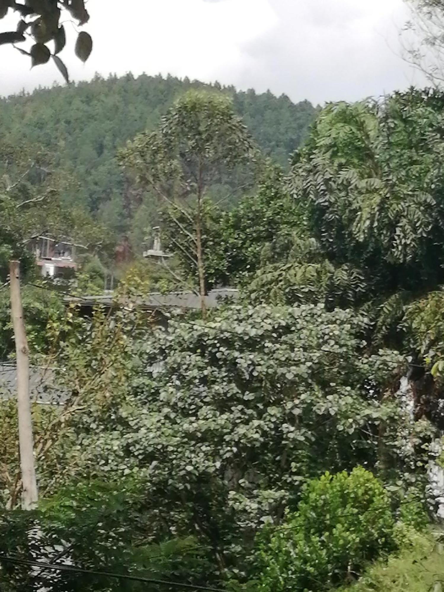 Sudumal Cottage Ella Phòng bức ảnh