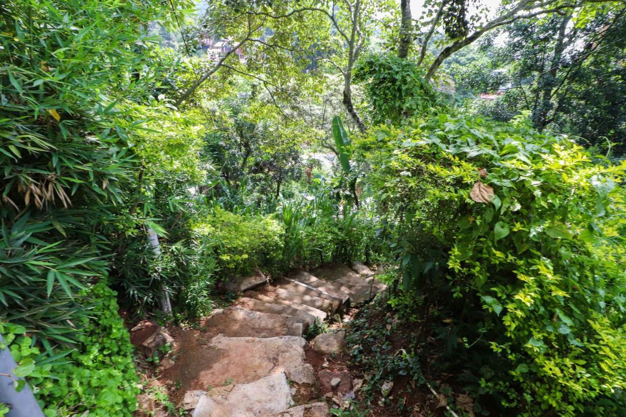 Sudumal Cottage Ella Ngoại thất bức ảnh